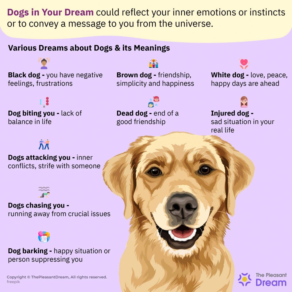 What Does It Mean To Dream Of A Dog Biting You?