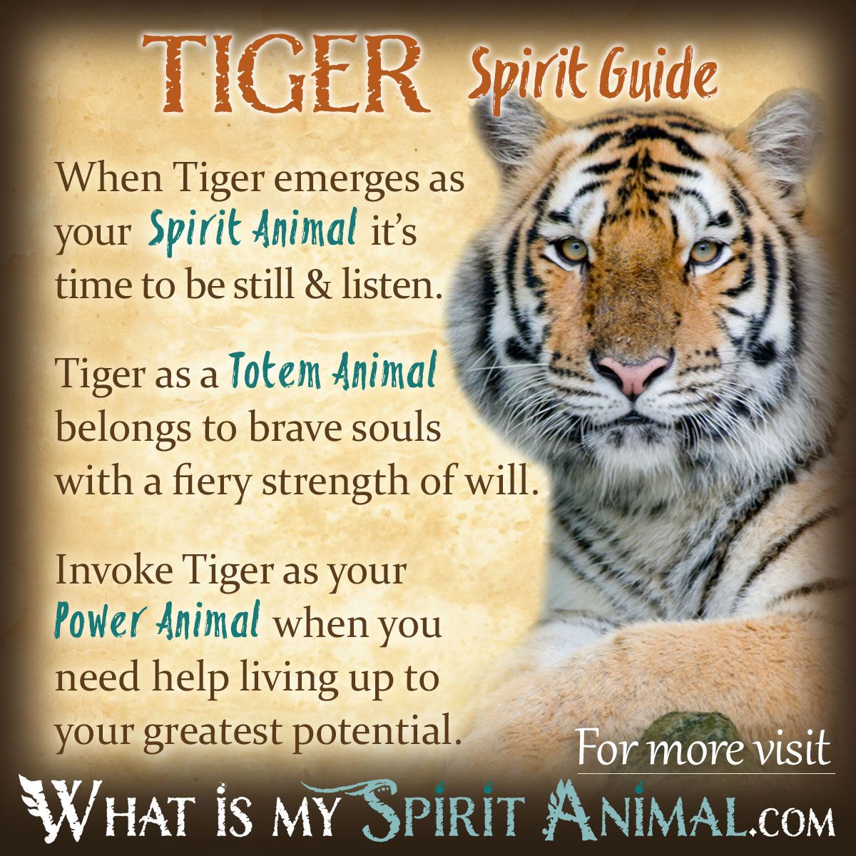 What Does It Mean To Dream Of A Tiger?