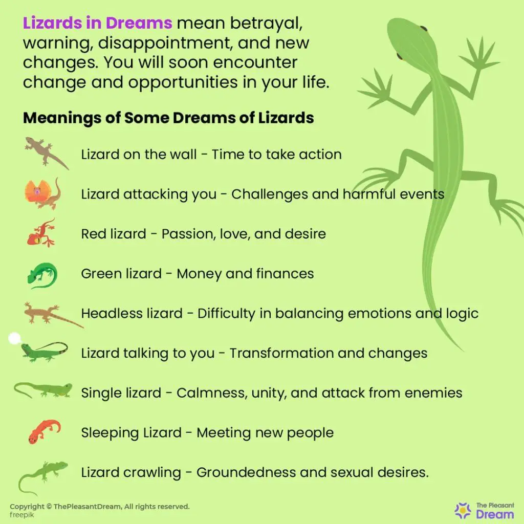 What Does It Mean When You Dream About Lizards?