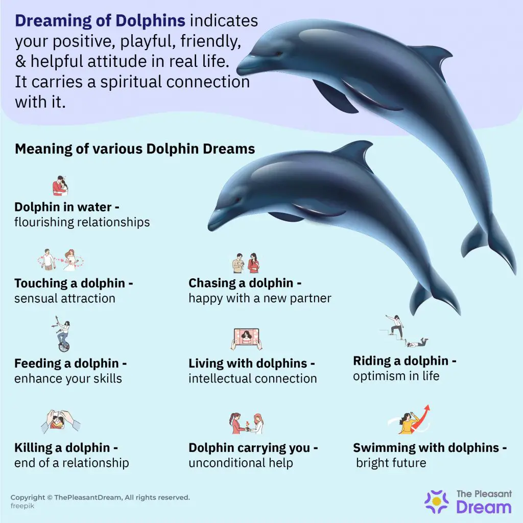 What Is The Meaning Of Dreaming About Dolphins?