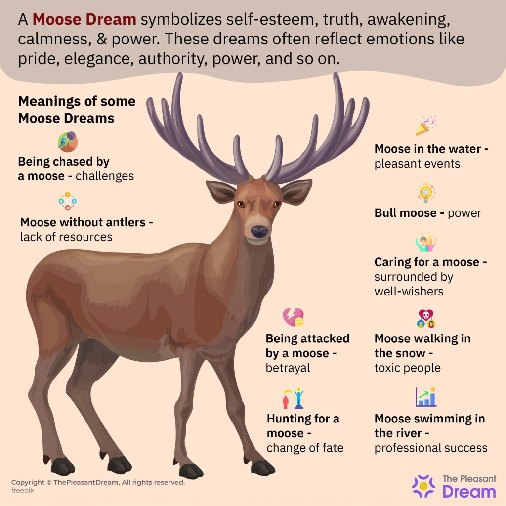 What Is The Symbolic Meaning Of Moose In Dreams?