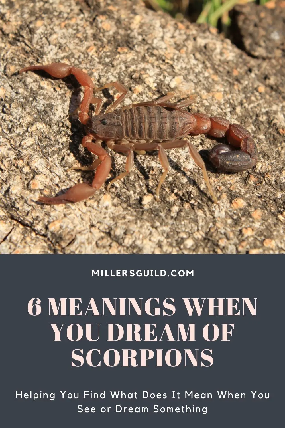 Yellow Scorpion Dream Meaning