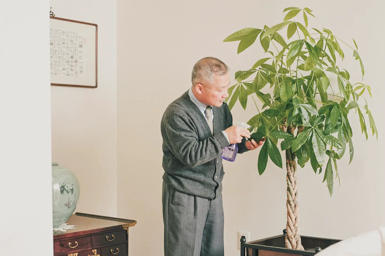 2 Money Tree Placement In Feng Shui