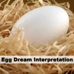 Discover the Spiritual Meaning of 'Dream of Egg' and How It Can Help Unlock Your Dreams