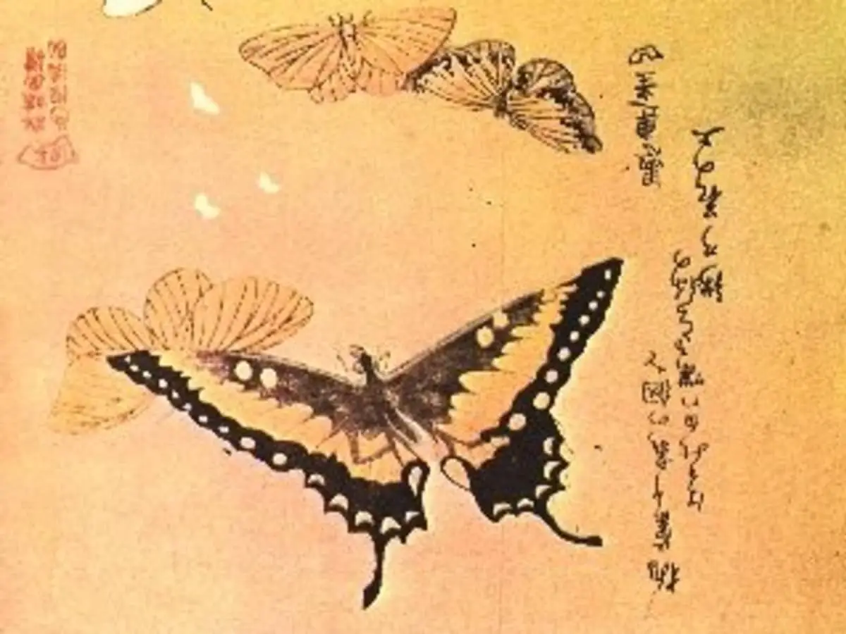 4 What Is The Meaning Of A Butterfly In Japanese Culture?
