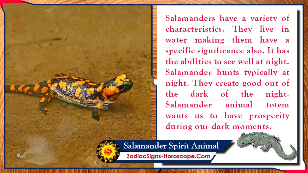 Animal Symbolism Of Salamander