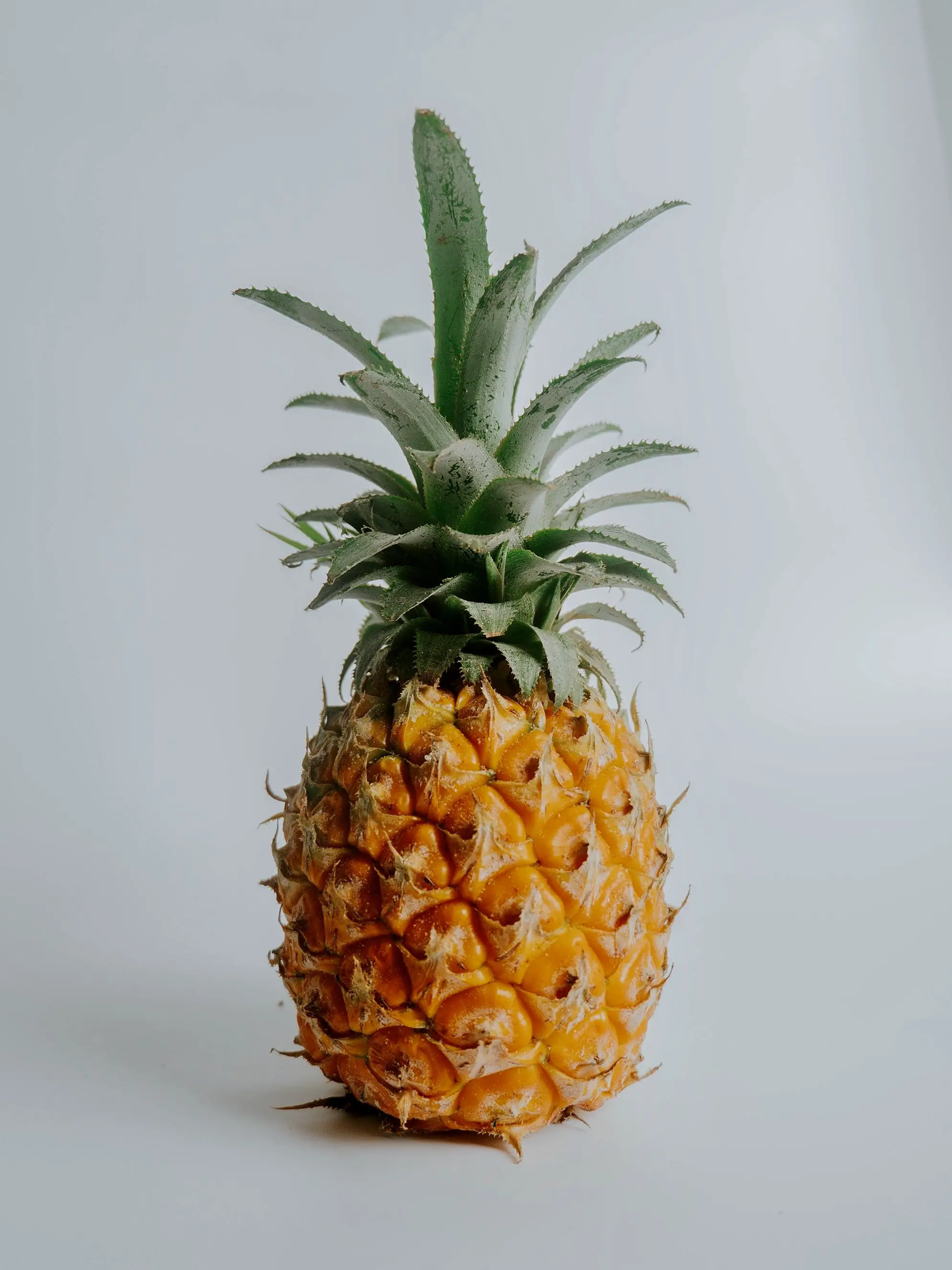 Biblical Significance Of Pineapple