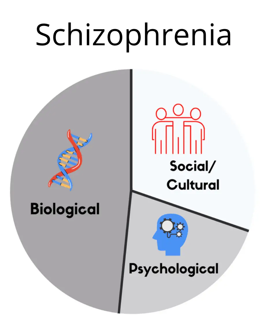 Causes Of Schizophrenia