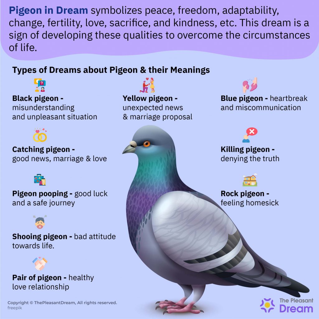 Common Symbolic Meanings Of Pigeons In Dreams