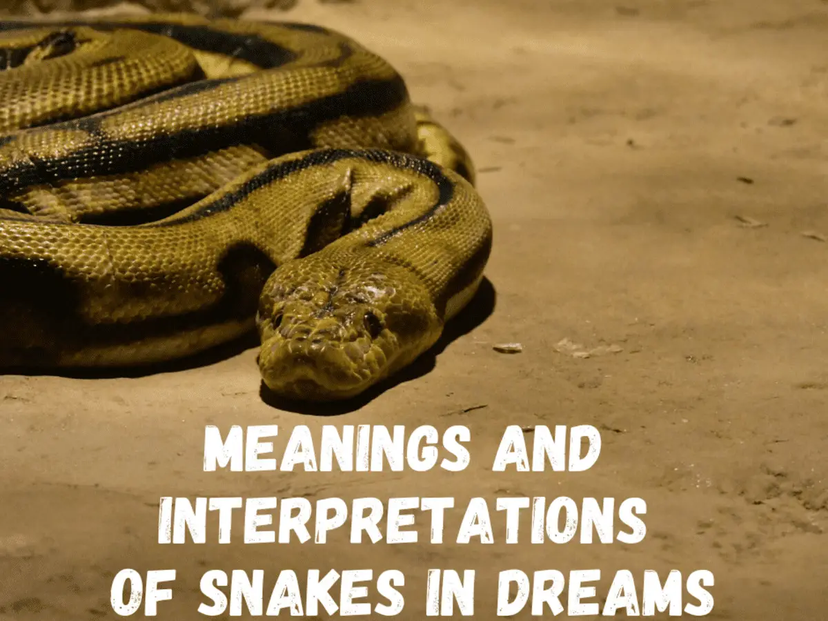 Common Themes Of Eating A Snake In A Dream