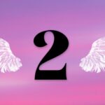 Discover the Spiritual Meaning Behind Dreaming of Number 2