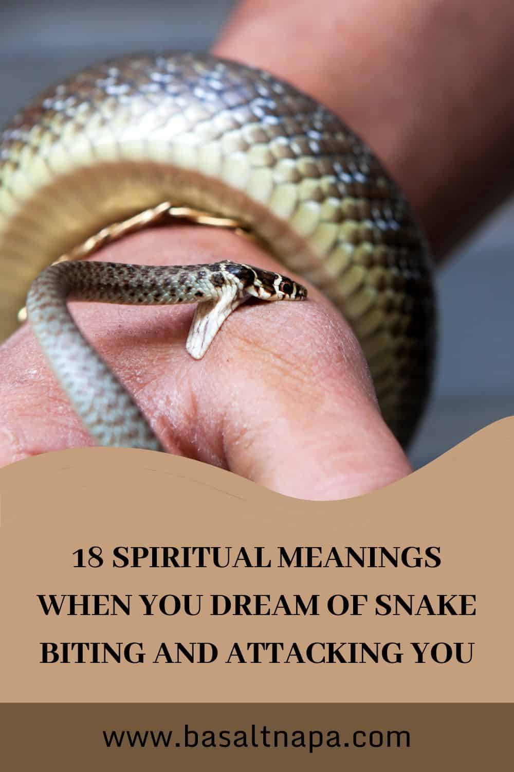 Cultural Interpretations Of Snake Bite In Dreams
