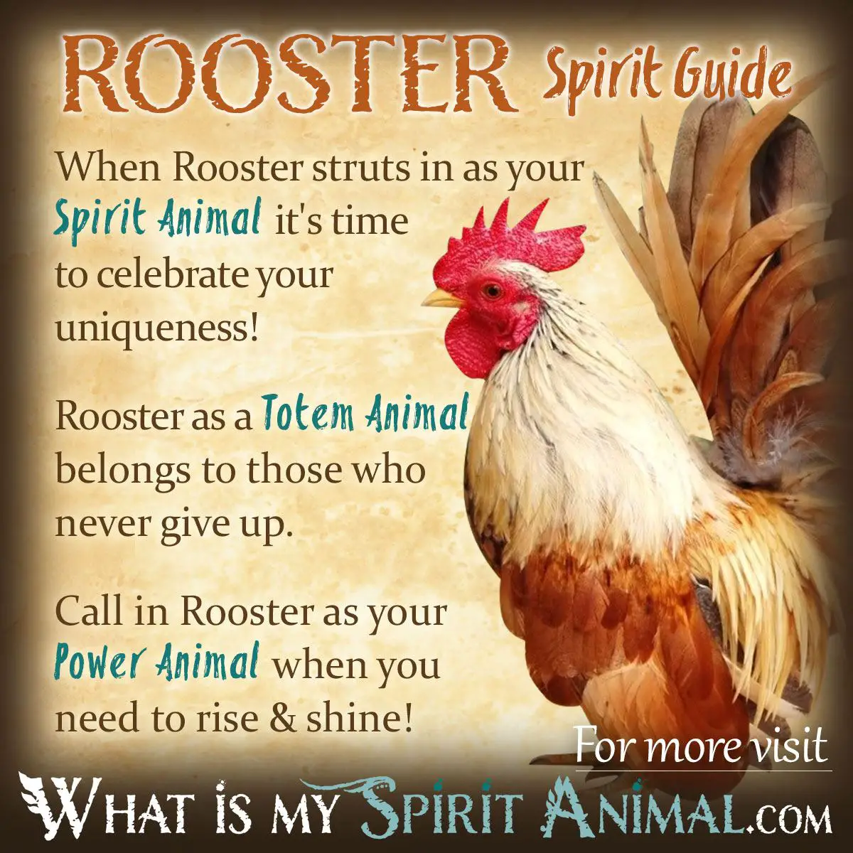Dream Meaning Of Rooster