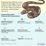 Discover the Spiritual Meaning of Dreaming of a Big Snake Python