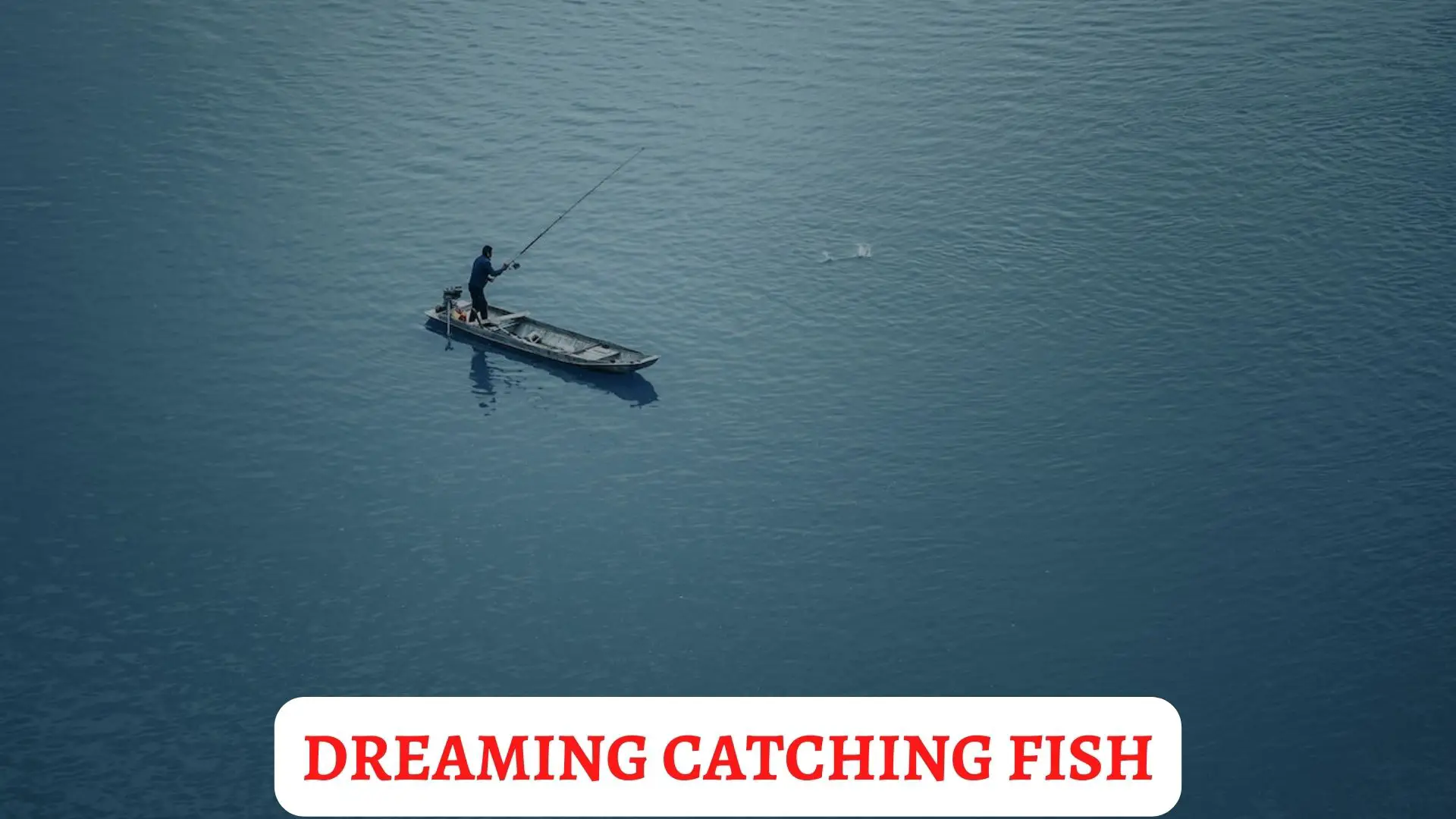 Dream Of Fish Out Of Water As A Sign Of Healing