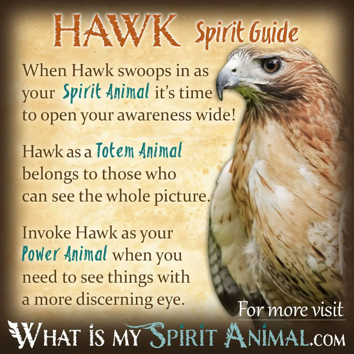 Dream Of Hawk Meaning