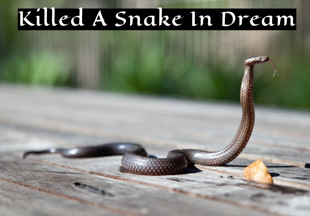 Uncovering the Spiritual Meaning Behind a Dream of Killing a Snake