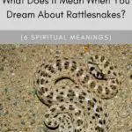 Uncover the Spiritual Meaning Behind Your Dream of a Rattlesnake Attacking