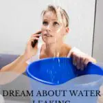 Discover the Spiritual Meaning of Dreaming About Water Leaking in Your House