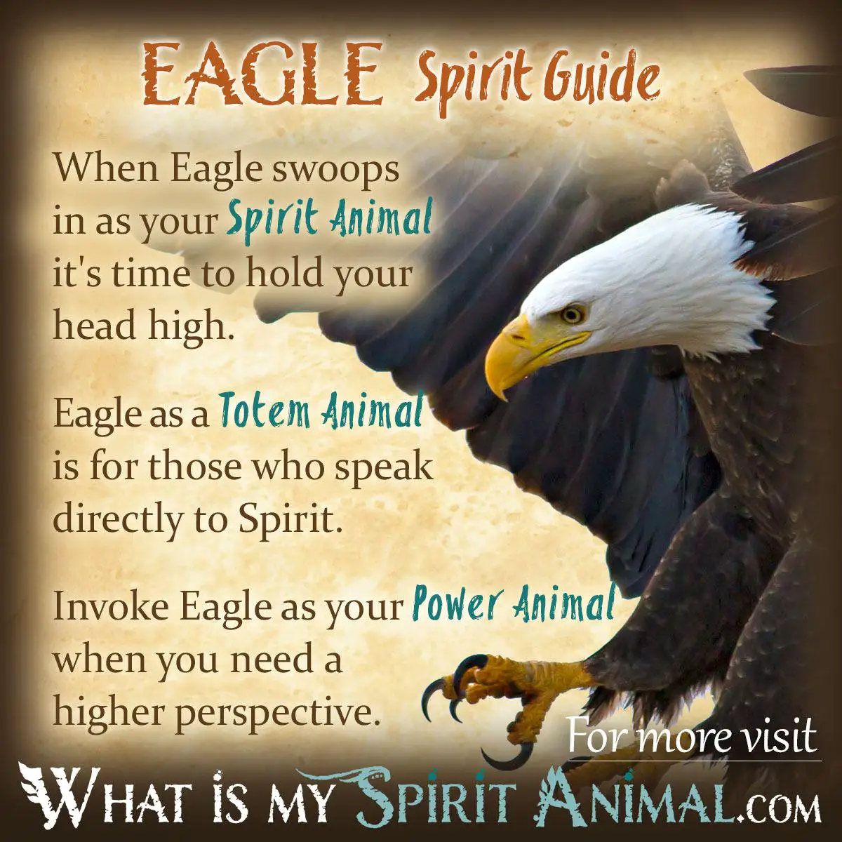 Dream Symbology Of Eagles