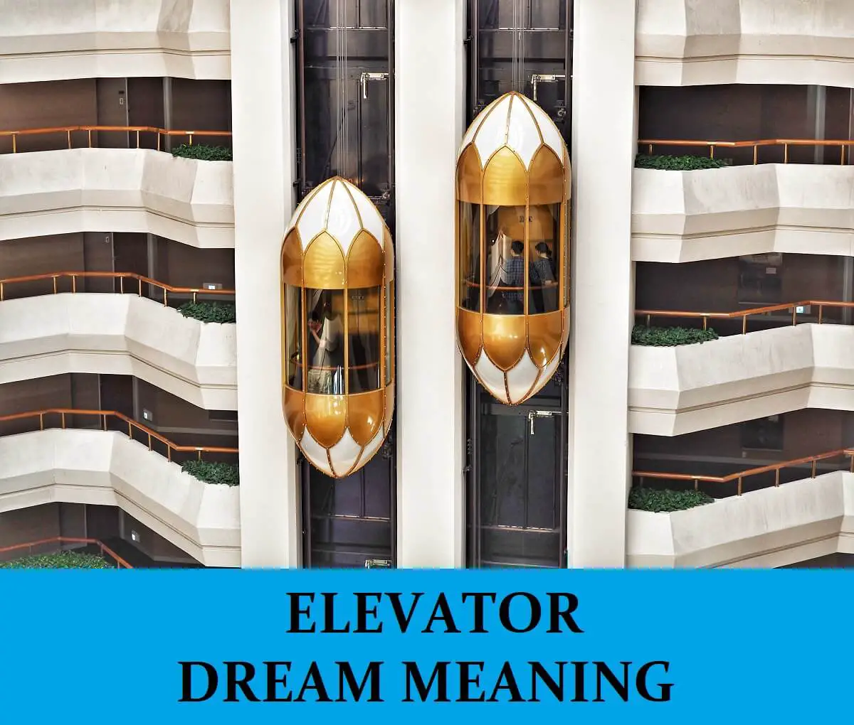 Dreaming Of An Elevator Going Sideways