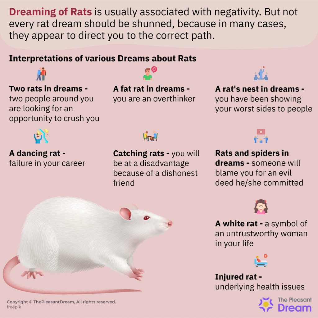 dreaming-of-rats-uncovering-the-spiritual-meaning-behind-your-dreams