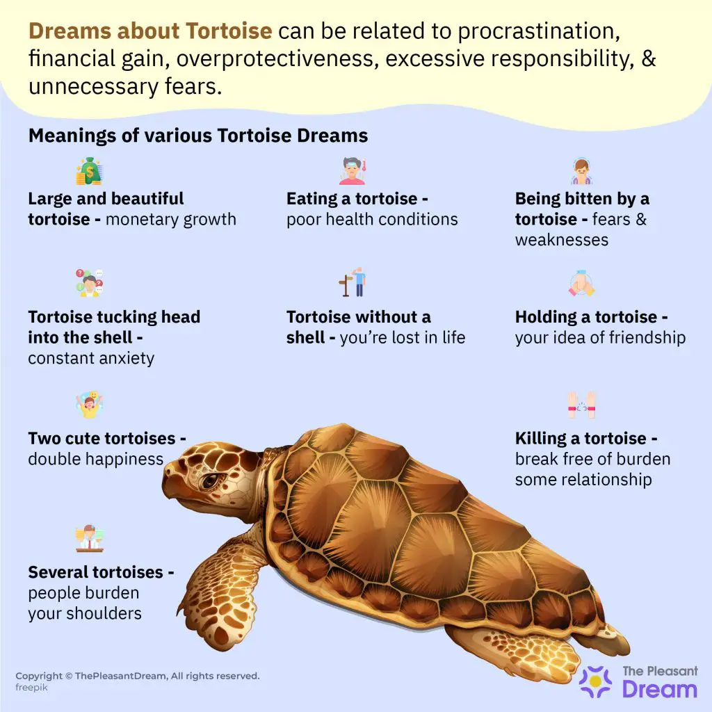 Dreaming Of Turtles Meaning