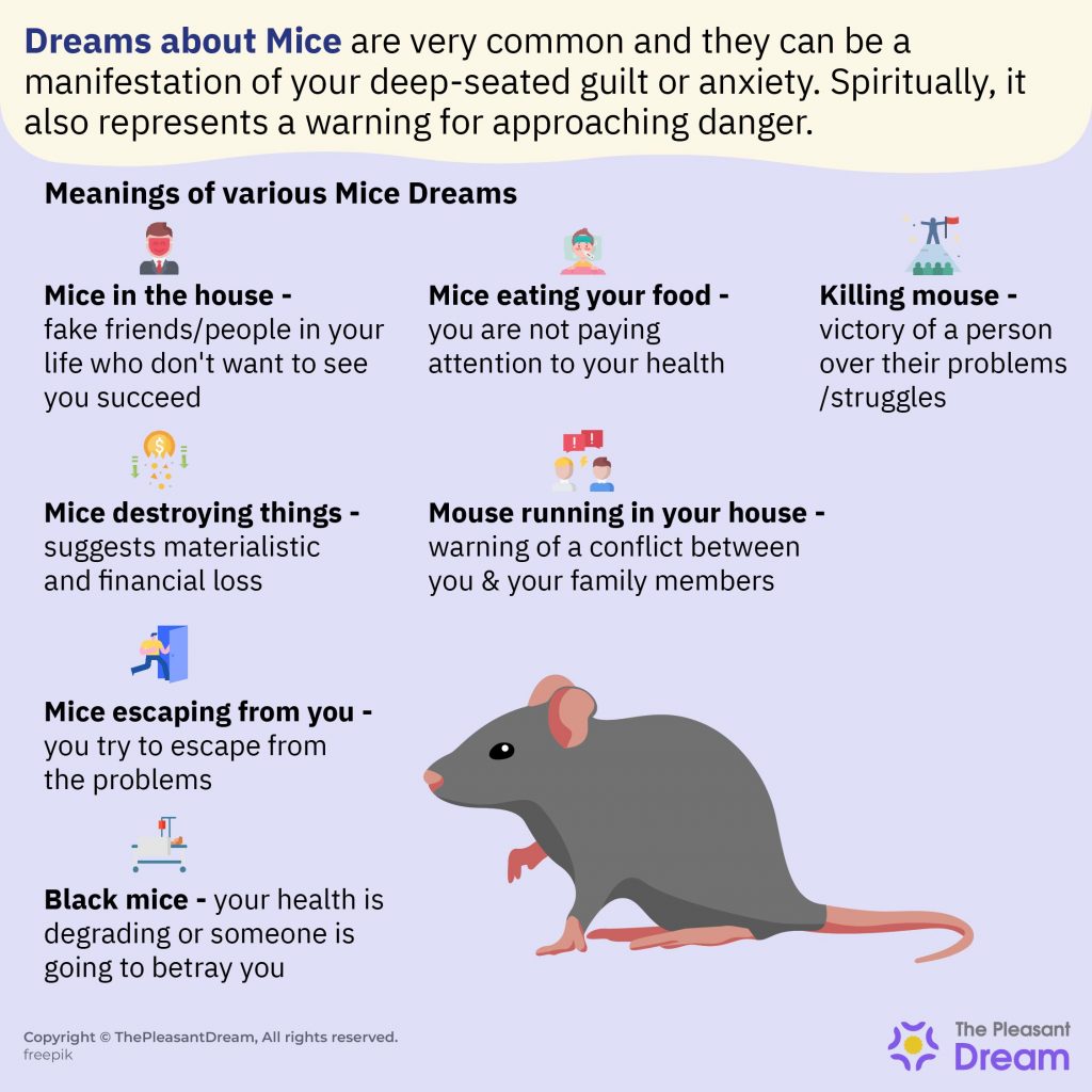 Dreams About Mice And Rats