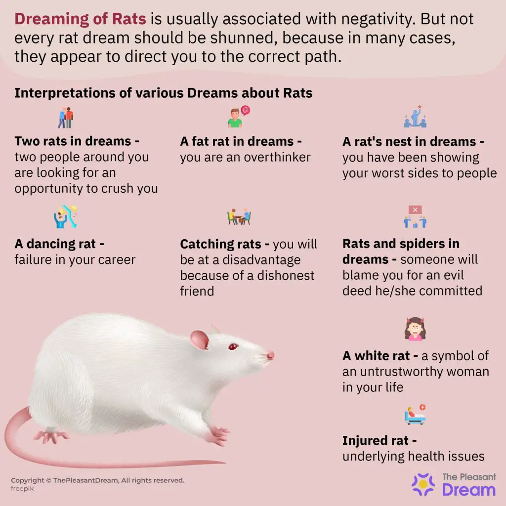 Dreams About Mice And Rats As Representations Of Personal Struggles