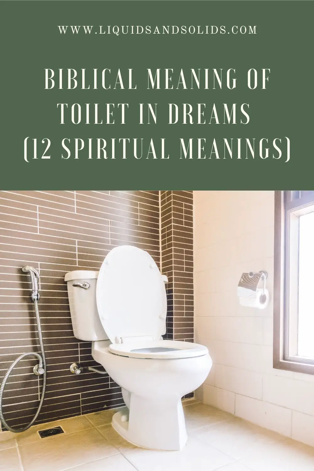 Dreams About Poop In Toilet