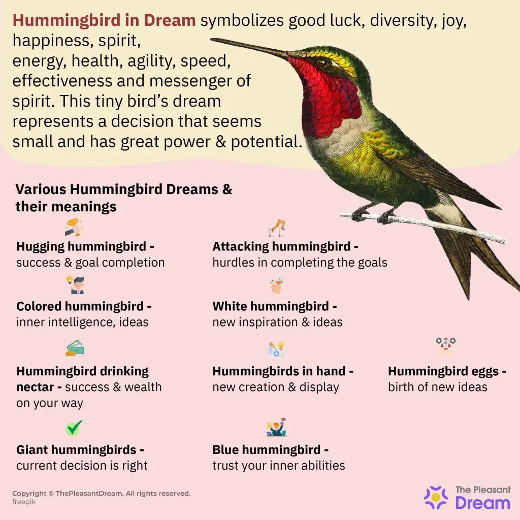 Dreams Involving Hummingbirds