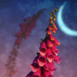 Uncover the Spiritual Meaning of Flower Moon 2023: How Dreams Could Unveil Its Secrets