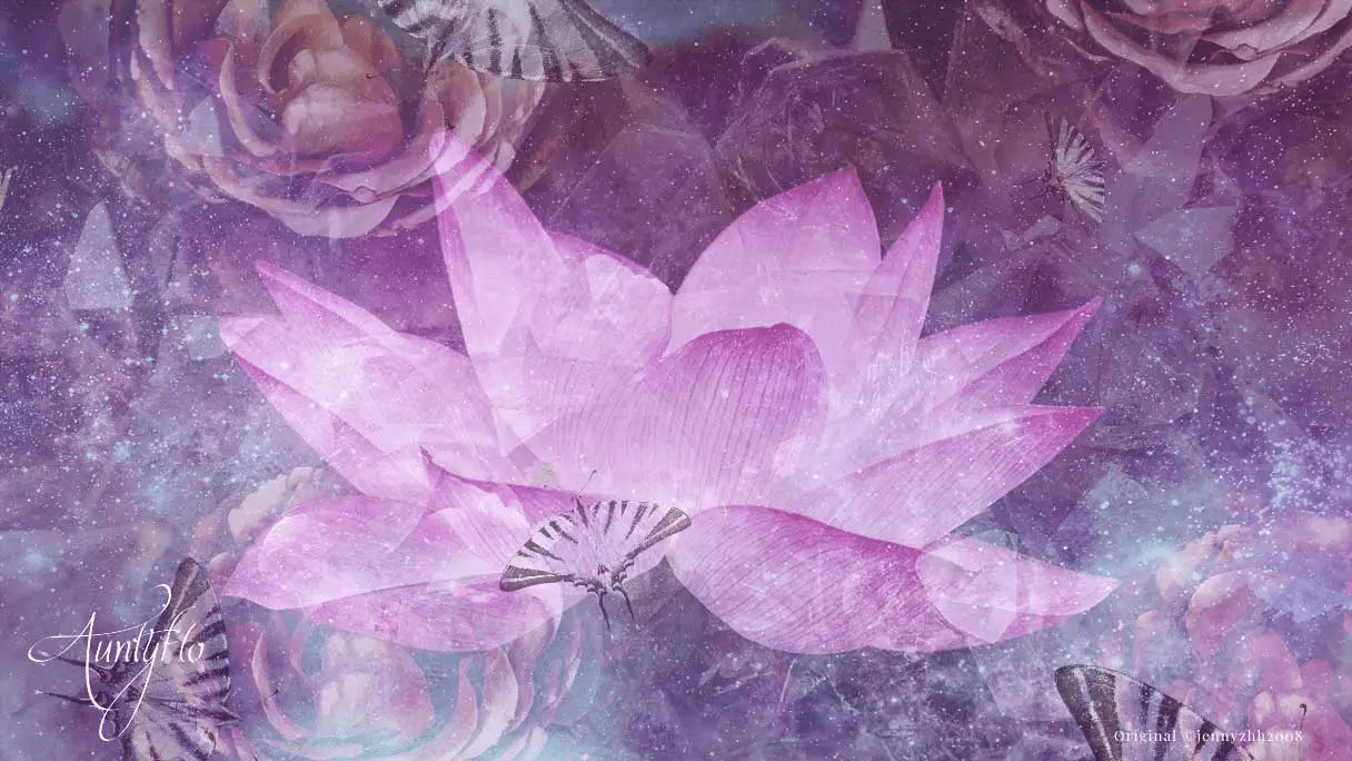 Dreams Meaning Of Lotus Flower