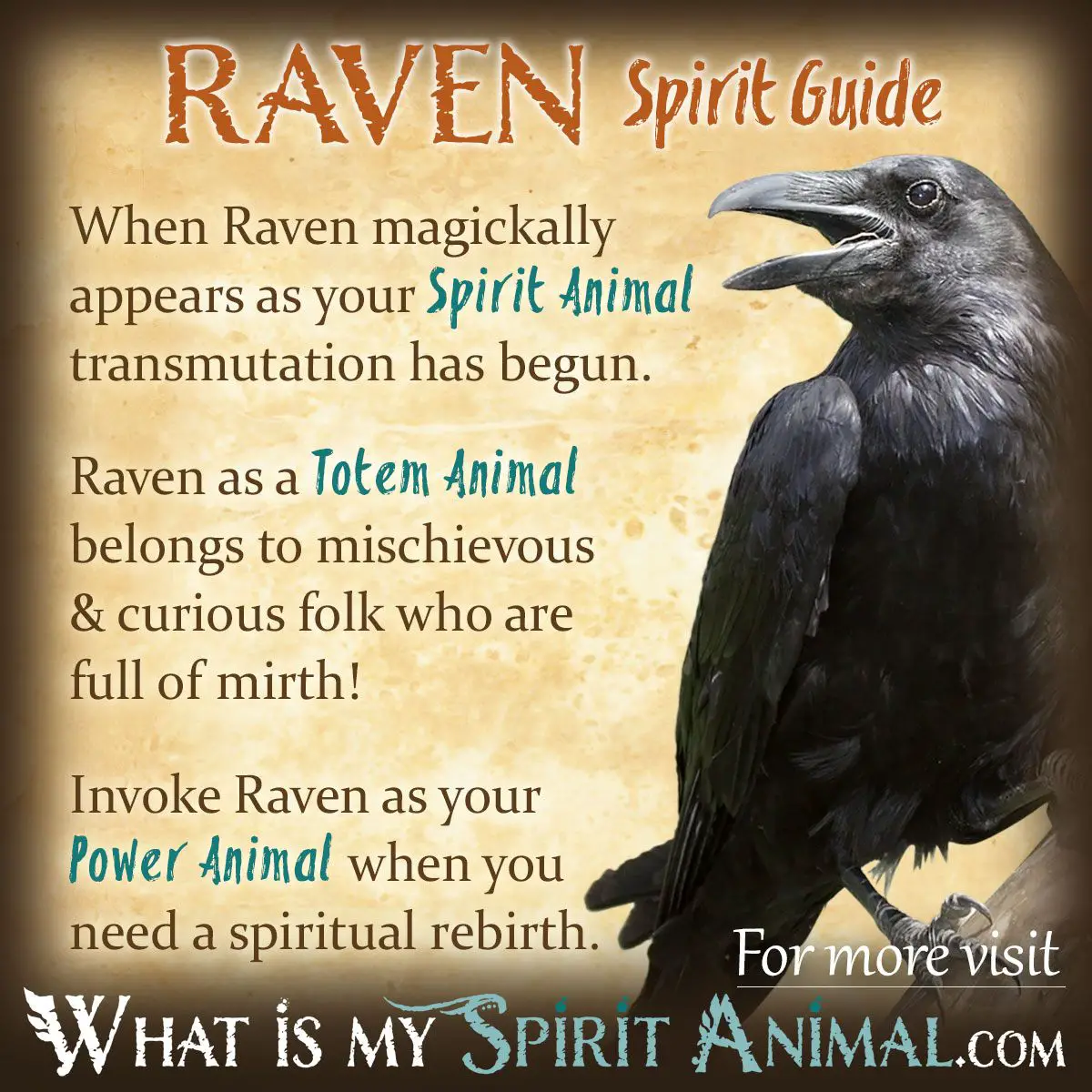 Dreams Meaning Of Ravens