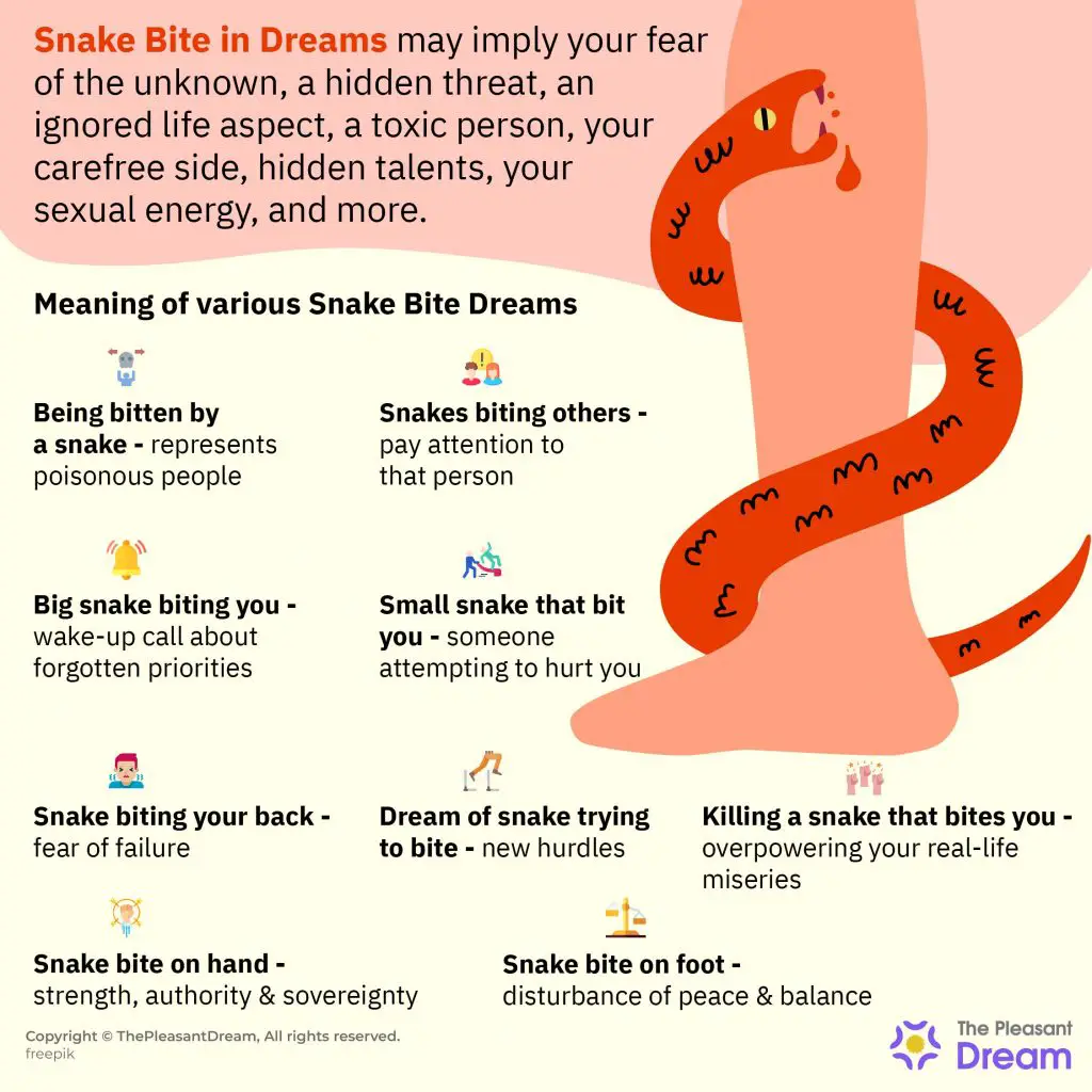 Dreams Of Snake Bite On The Foot: Psychological Interpretation