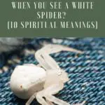 Unraveling the Spiritual Meaning of Dreams of White Spiders