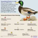 Uncovering the Spiritual Meaning of Ducks in Dreams