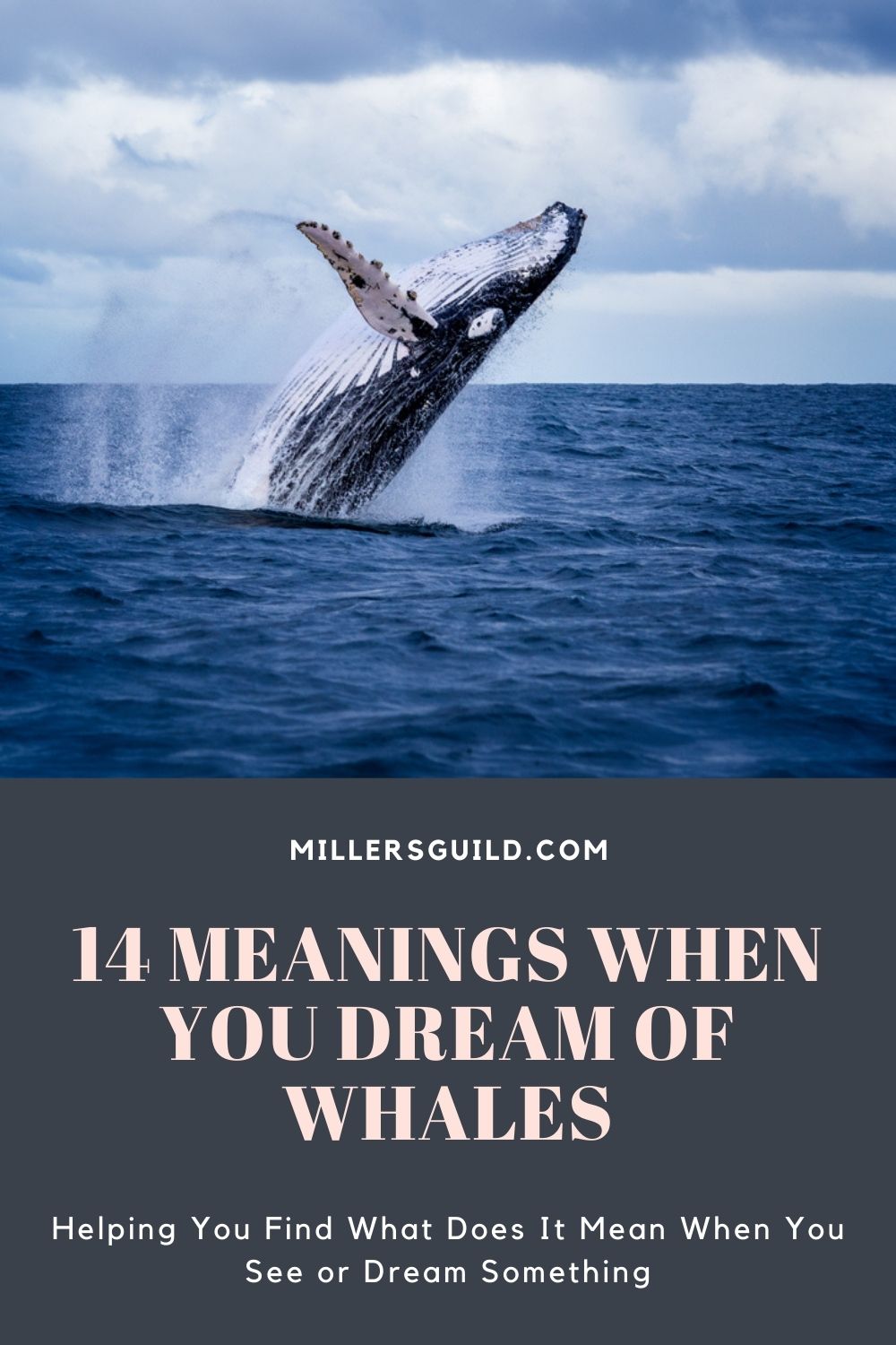 Examples Of Whale Dreams