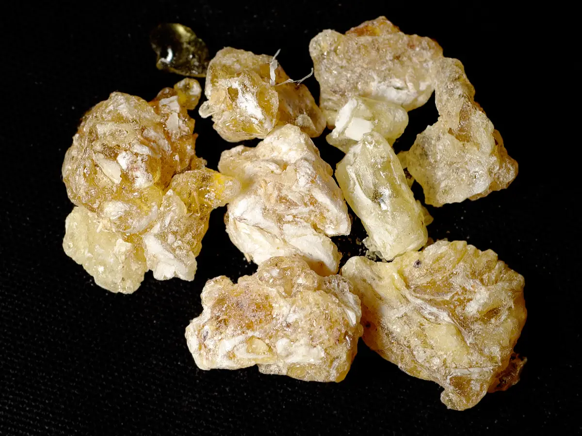  Historical And Cultural Background Of Frankincense 