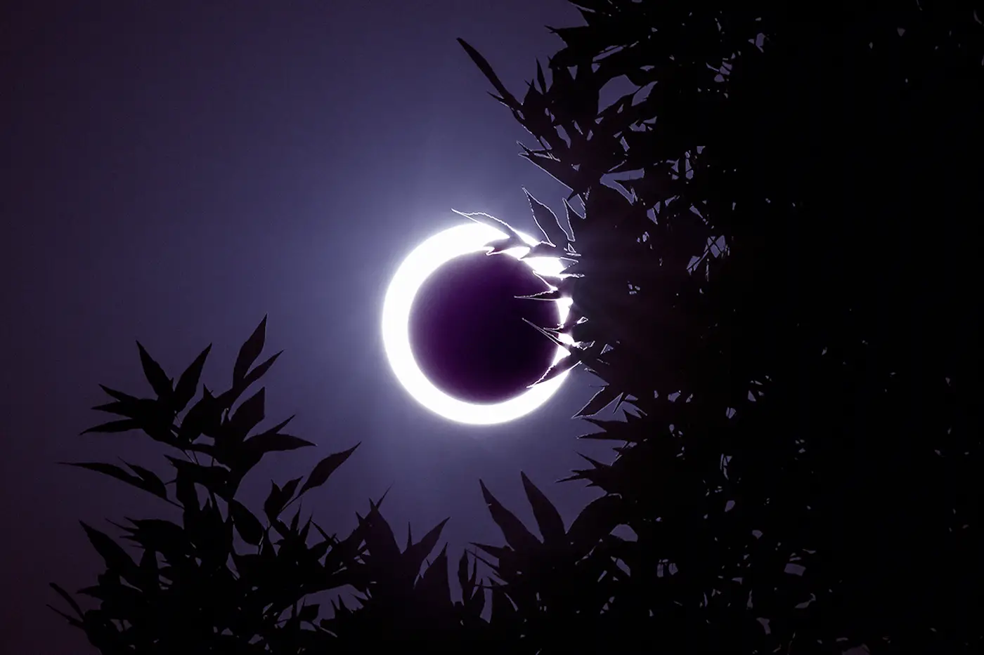 History Of Ring Of Fire Eclipse