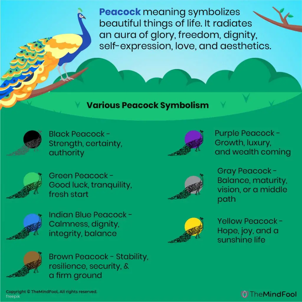 How Does A Peacock Represent In Dreams?