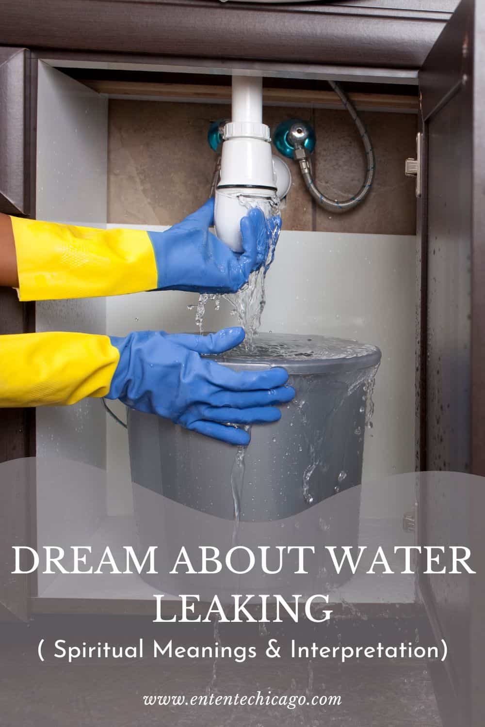 How To Interpret Water Leaking In House Dreams