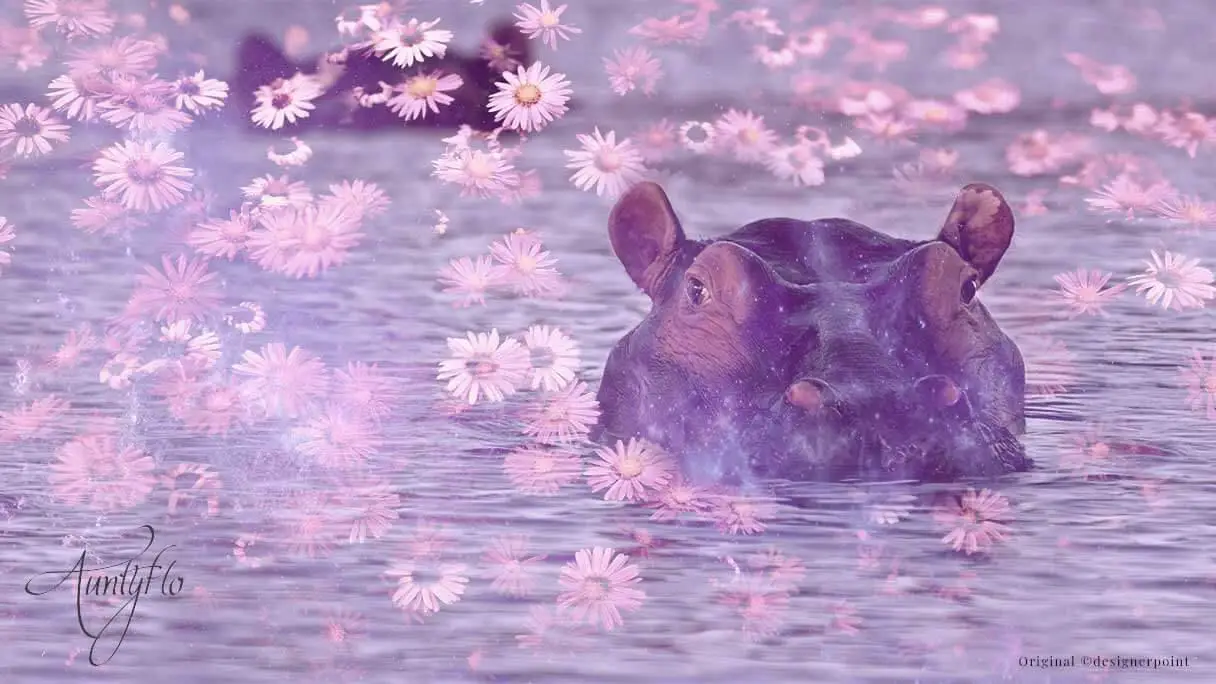 How To Interpret Your Hippo Dream