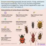 Discover the Spiritual Meaning of Dreams about Insects