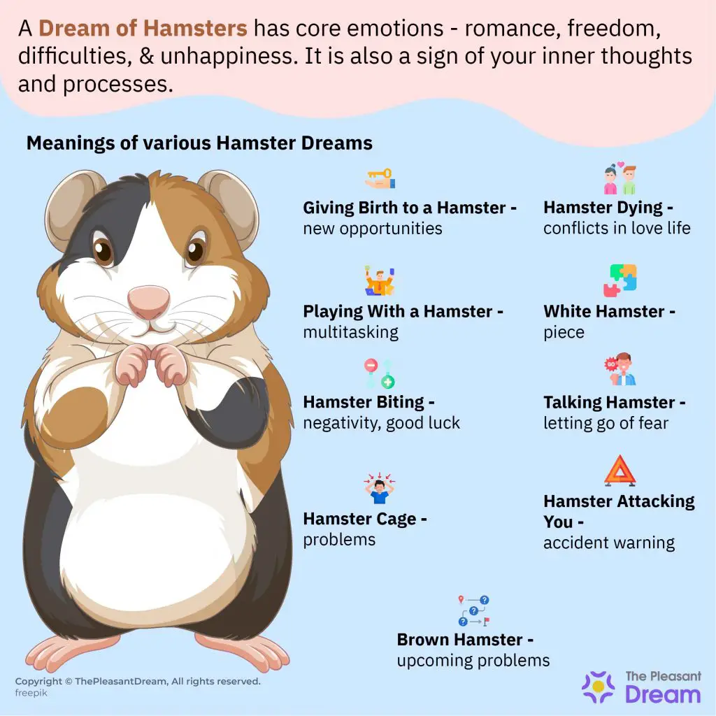 Interpreting The Meaning Of Hamster Dreams