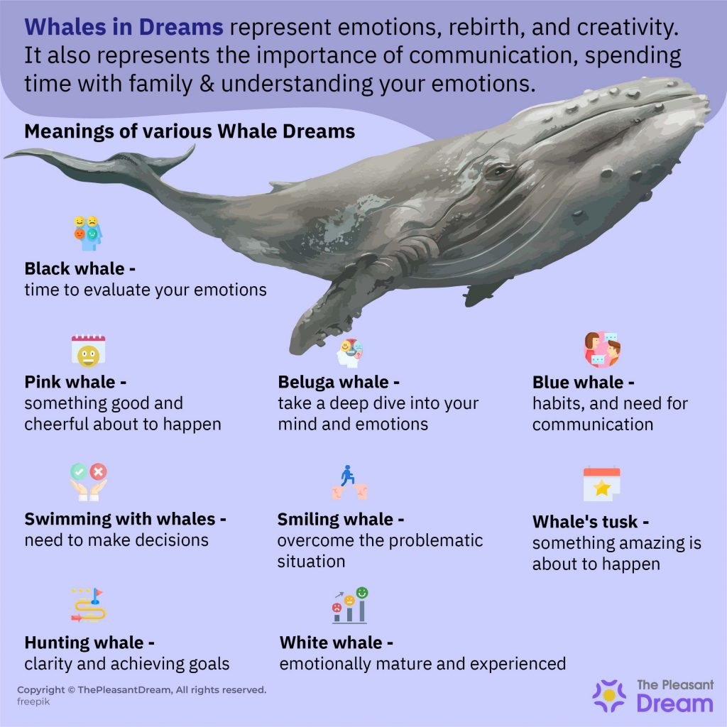 Interpreting Whale Dreams