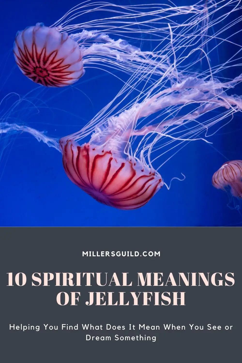 Jellyfish In Dreams: Spiritual Meaning
