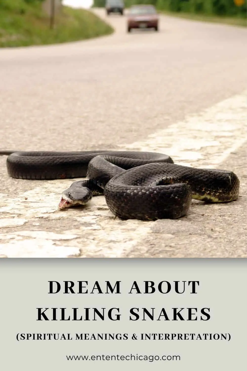 Killing A Snake With Bare Hands In A Dream: Spiritual Interpretation