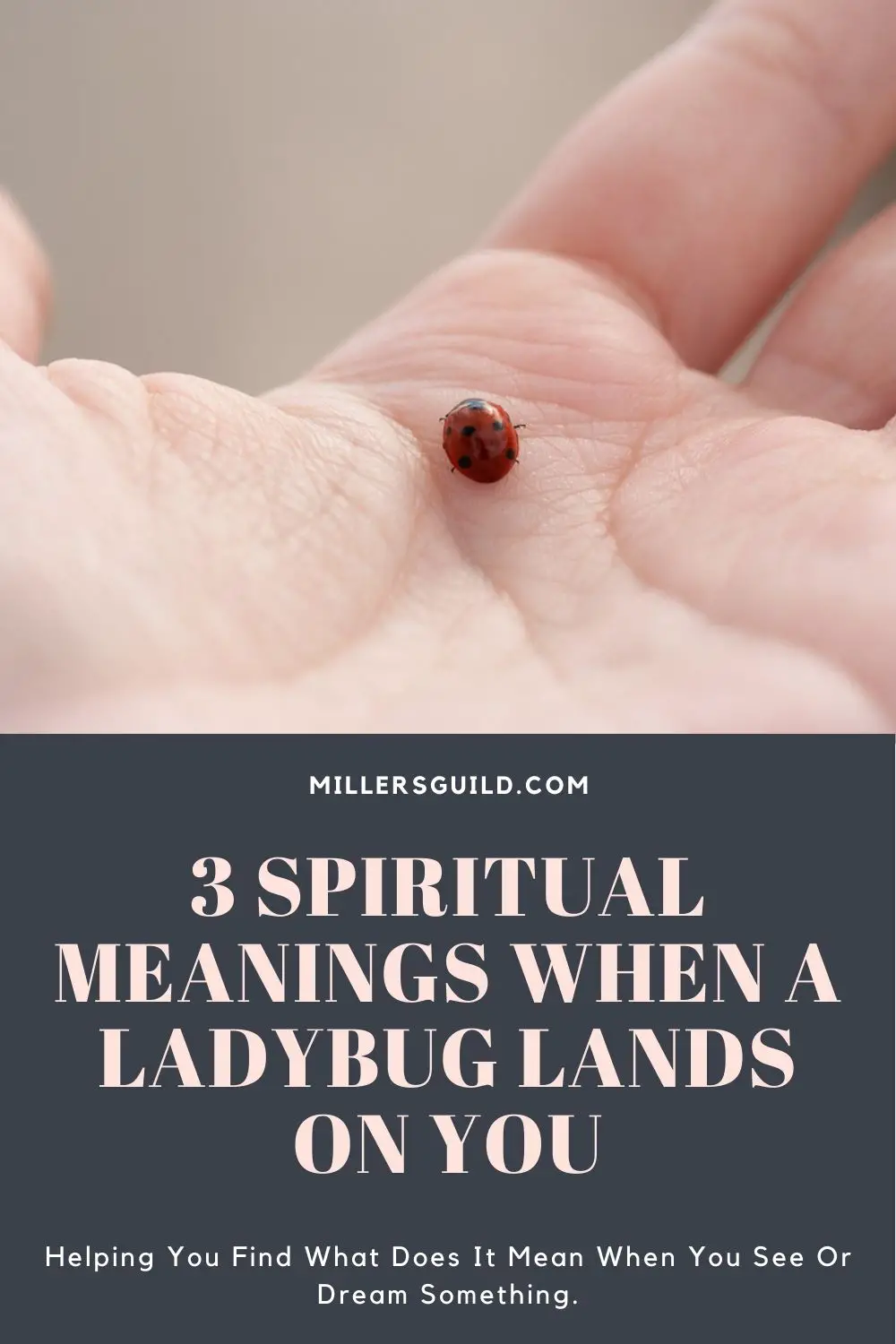 Ladybugs In Your Home