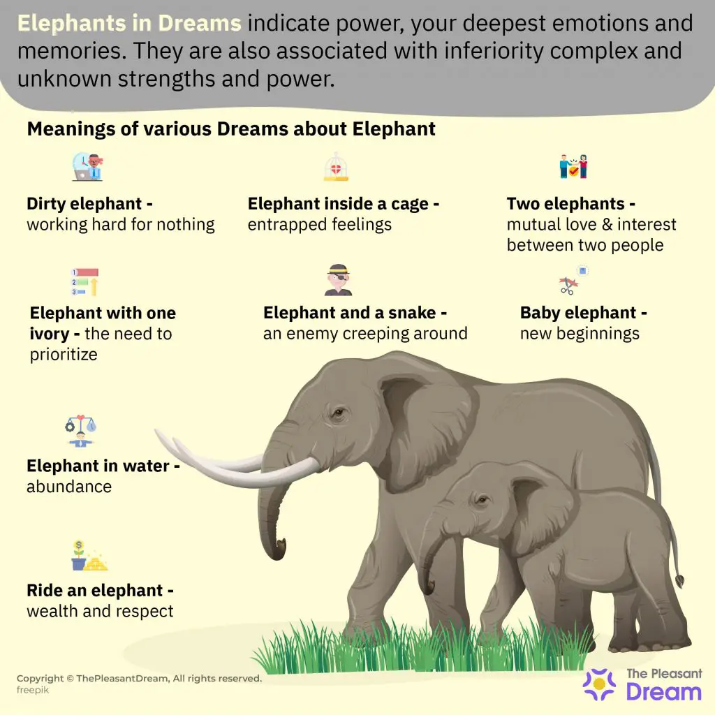 Meaning Of Baby Elephant In Dreams